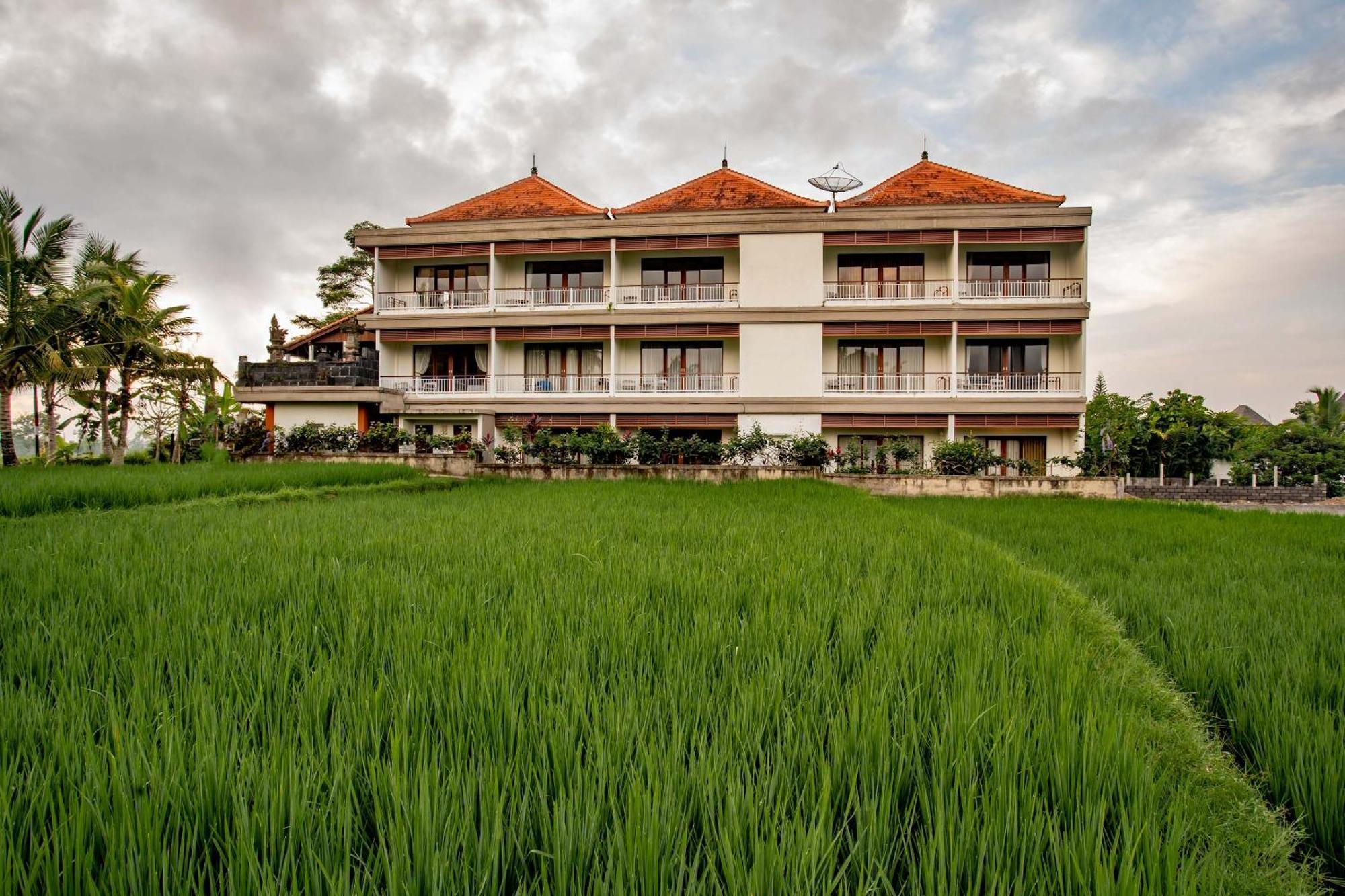 Paon Desa Ubud Ngoại thất bức ảnh